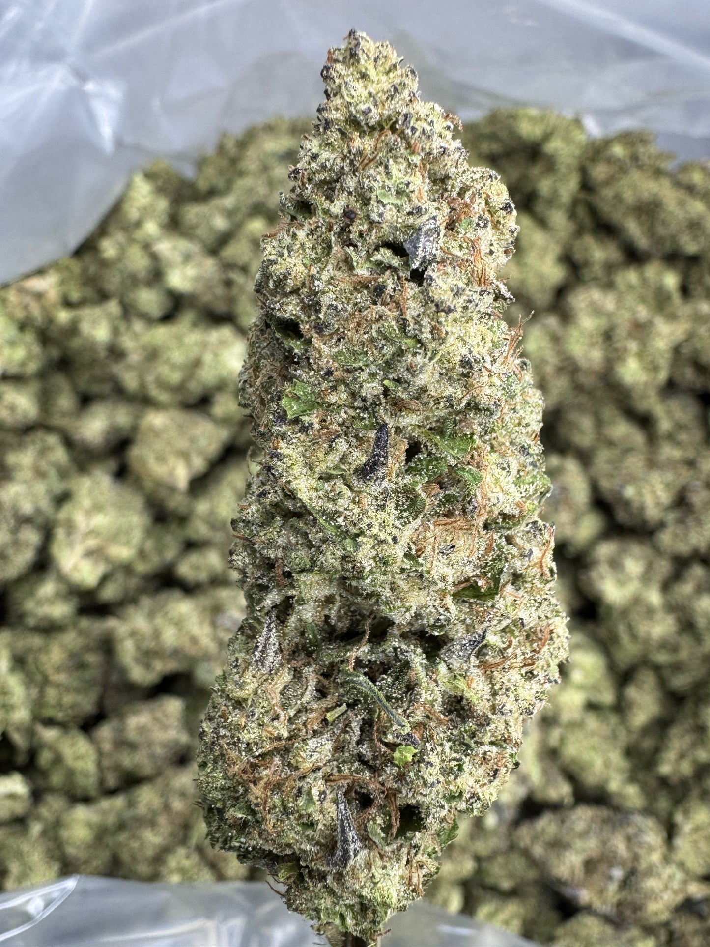 Hashburger