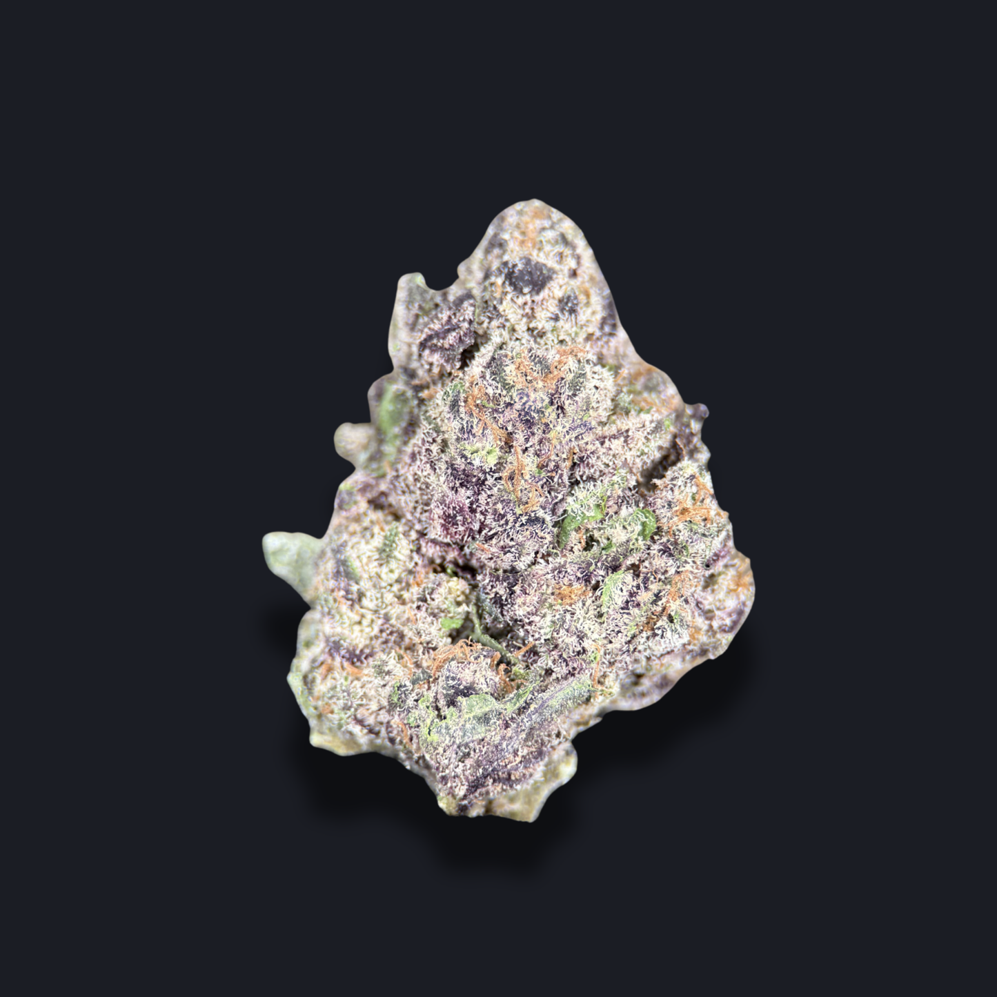Purple Urkle
